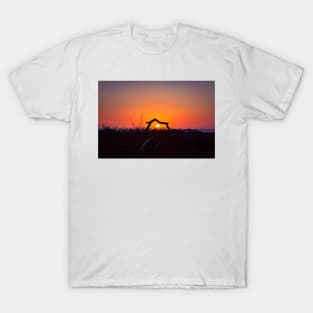Sunset Through Driftwood T-Shirt